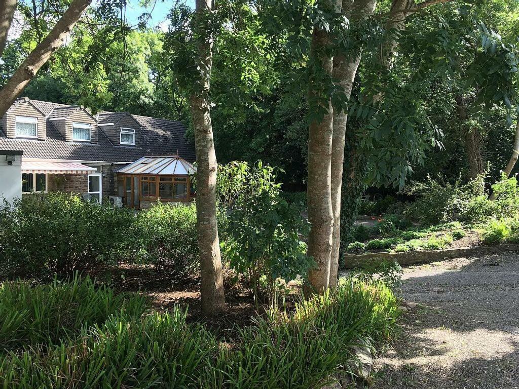Bedrock Lodge Winterbourne Εξωτερικό φωτογραφία